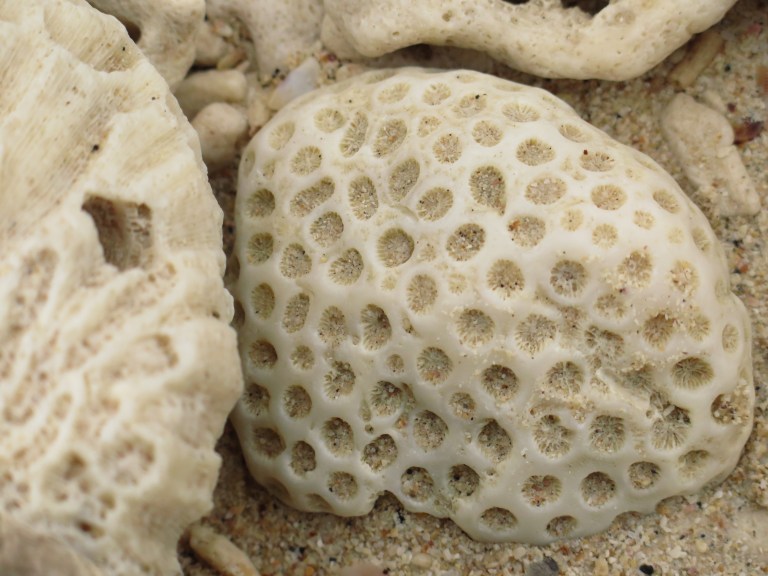 4E51B7FD-2E89-416C-9FC4-B052BDE675C8