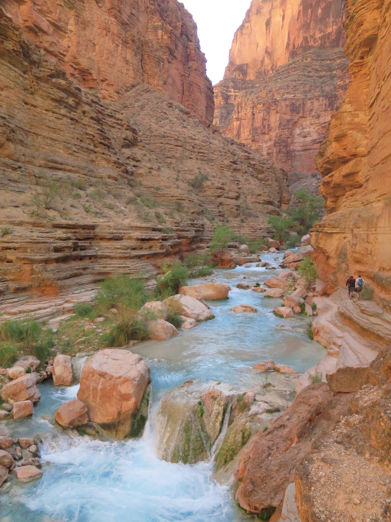 83AE021B-4336-4845-9C57-2F29406125F5