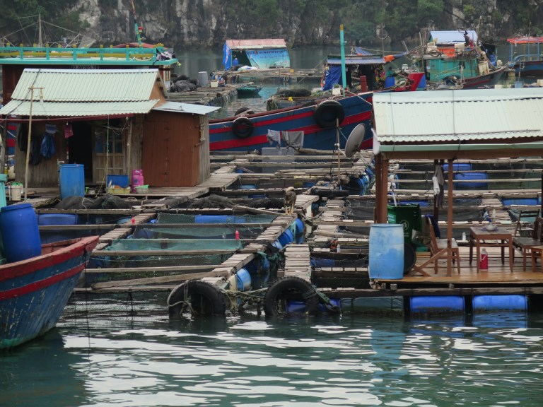 D474C5E9-3B59-4939-ACA3-EE5FACA62E3D