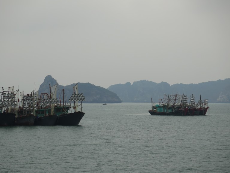 FC932DD2-D03A-4228-9D90-7FFD124F43FB