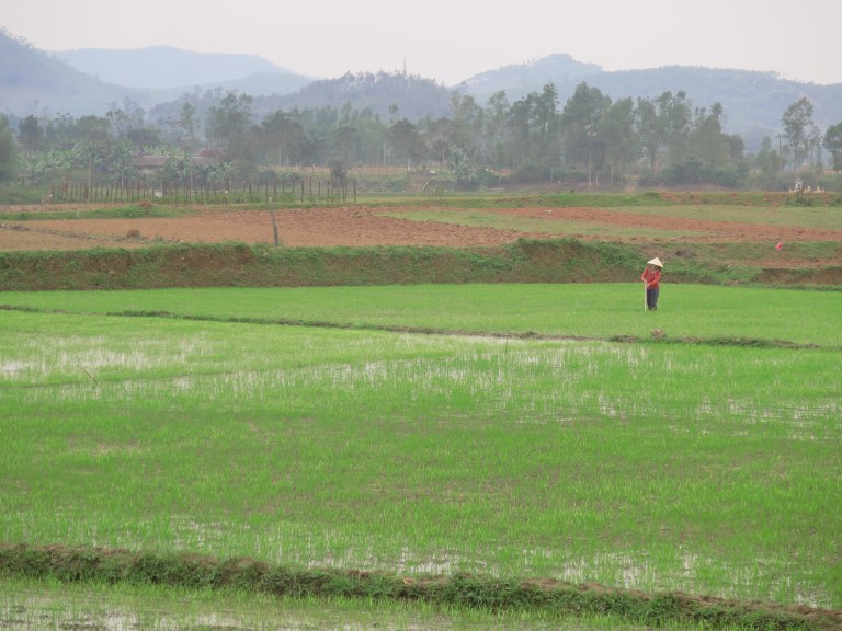 00DF4586-CF47-4CAB-B933-A81D43046274