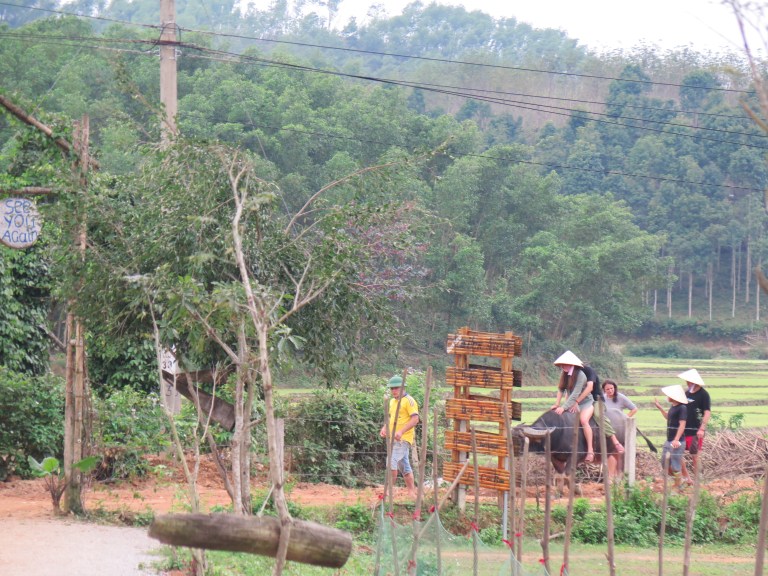 36134644-81D6-4F78-94BF-C516F723D15C