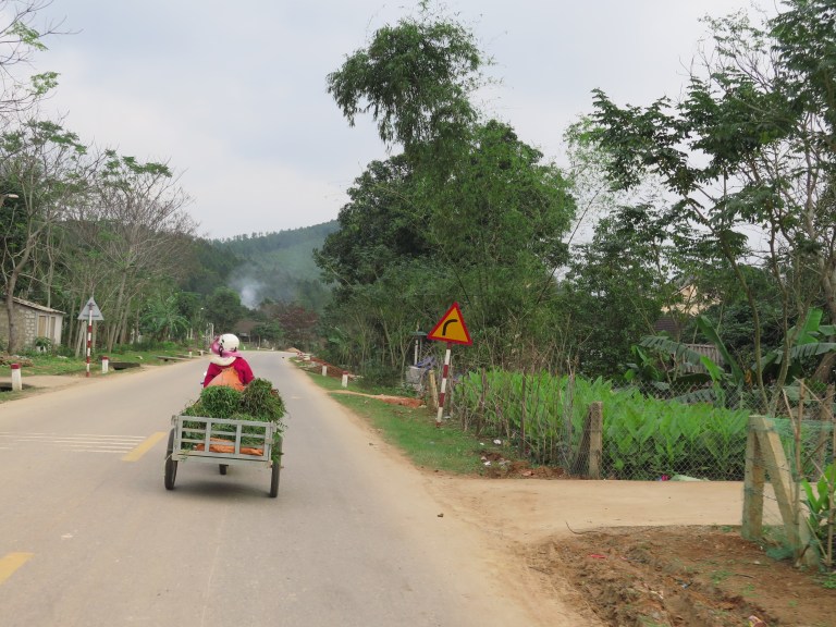 917AFF16-170E-4119-B161-23FF6CFF8FA2