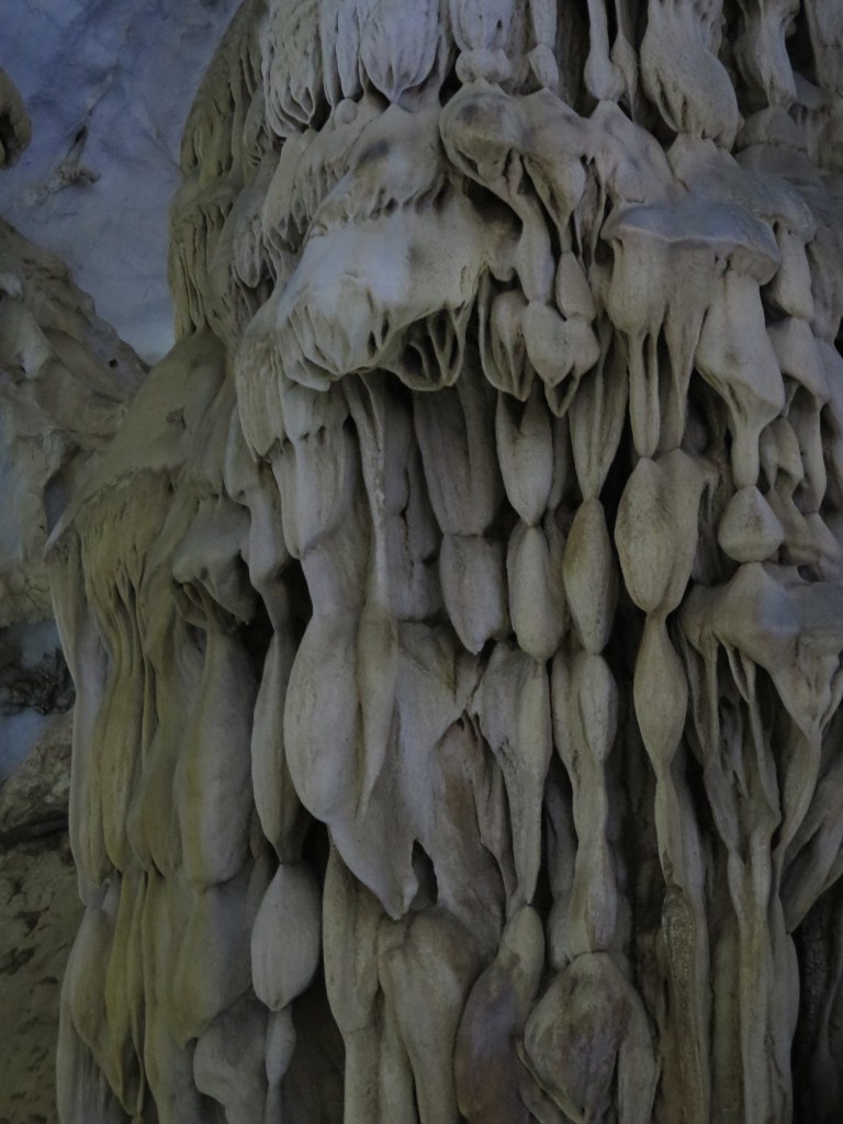 948A9945-7F16-4187-BCF4-F7FA3FF96C06