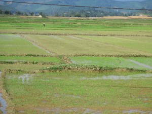 B2612212-D454-47B5-8B23-218D3DFA9F06