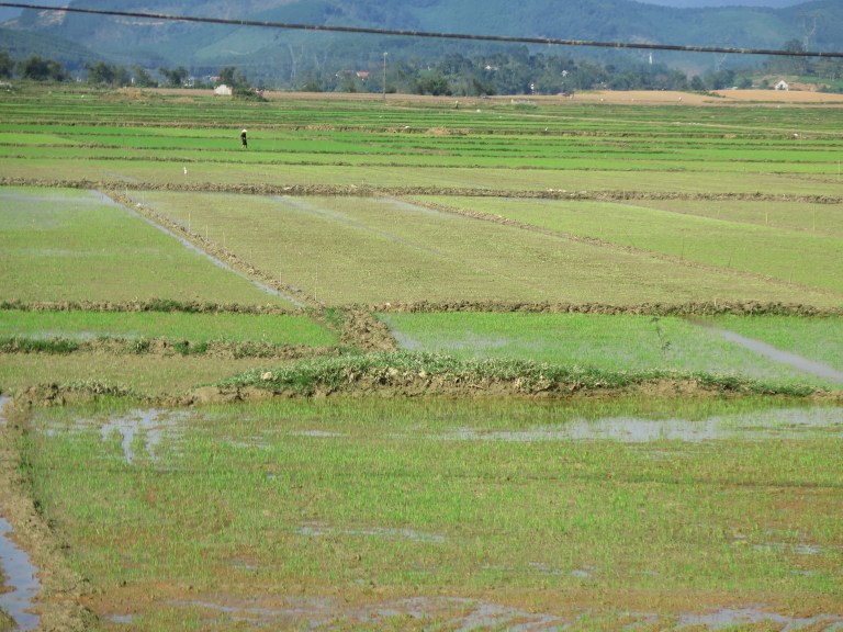 B2612212-D454-47B5-8B23-218D3DFA9F06