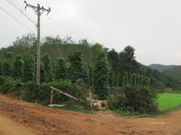 B4C0CCCD-35C5-4B32-BB20-71C960ECE8BA