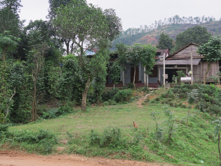 DAB3C51C-5C72-4662-8239-9345429565B8