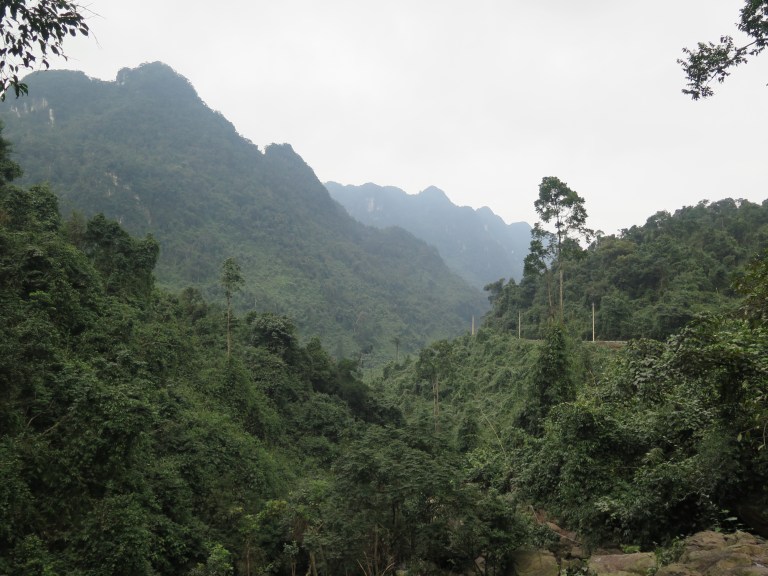 F59EF83D-3238-4D28-922B-0B3D9F5F166D