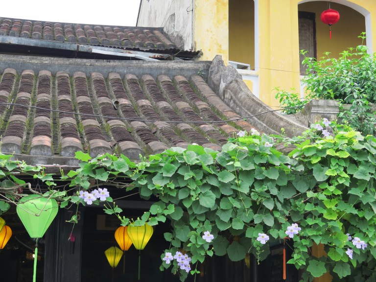 9CD1A607-0094-494F-8531-D252D5D66F44