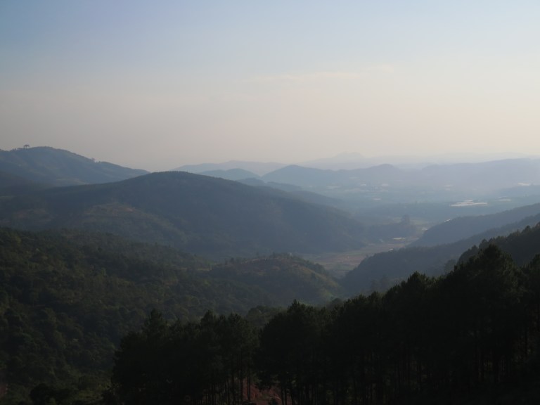 DF4452B9-FFE8-4BCC-8E02-0C4DA7F15CC6