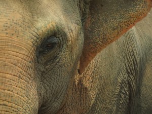 09783F7F-AAB9-445E-A678-D65393DED35B